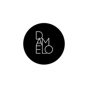 Damelo logo big